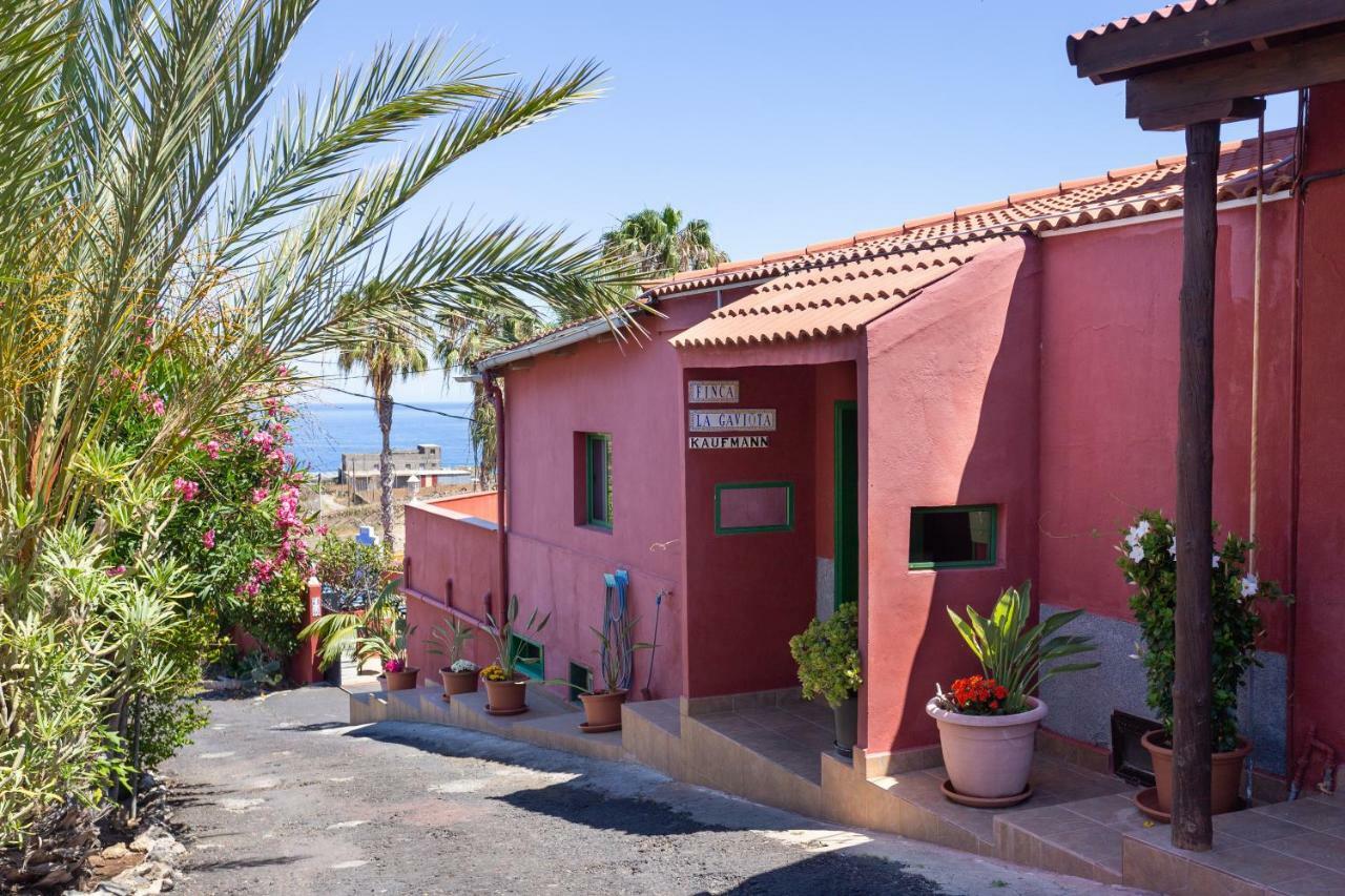 Finca La Gaviota - El Granito อิคอดเดลอสวินอส ภายนอก รูปภาพ
